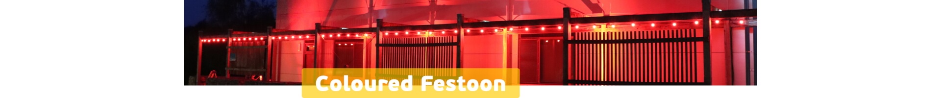 Coloured Festoon