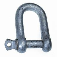 Shackle 10mm D Type Galvanised