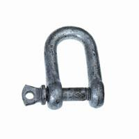 8mm D Type Galvanised Shackle