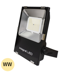 100W Floodlight for Outdoors IP66 Warm White 
