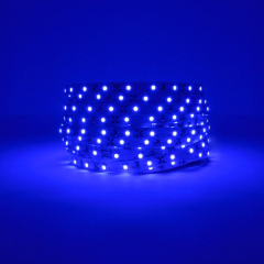Blue LED Lighting Tape 5m 12v 24W IP20